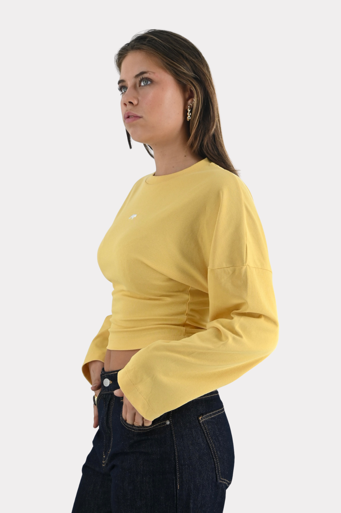 Snatched-tiger-tee-long-sleeve-yellow-fashiontiger-4
