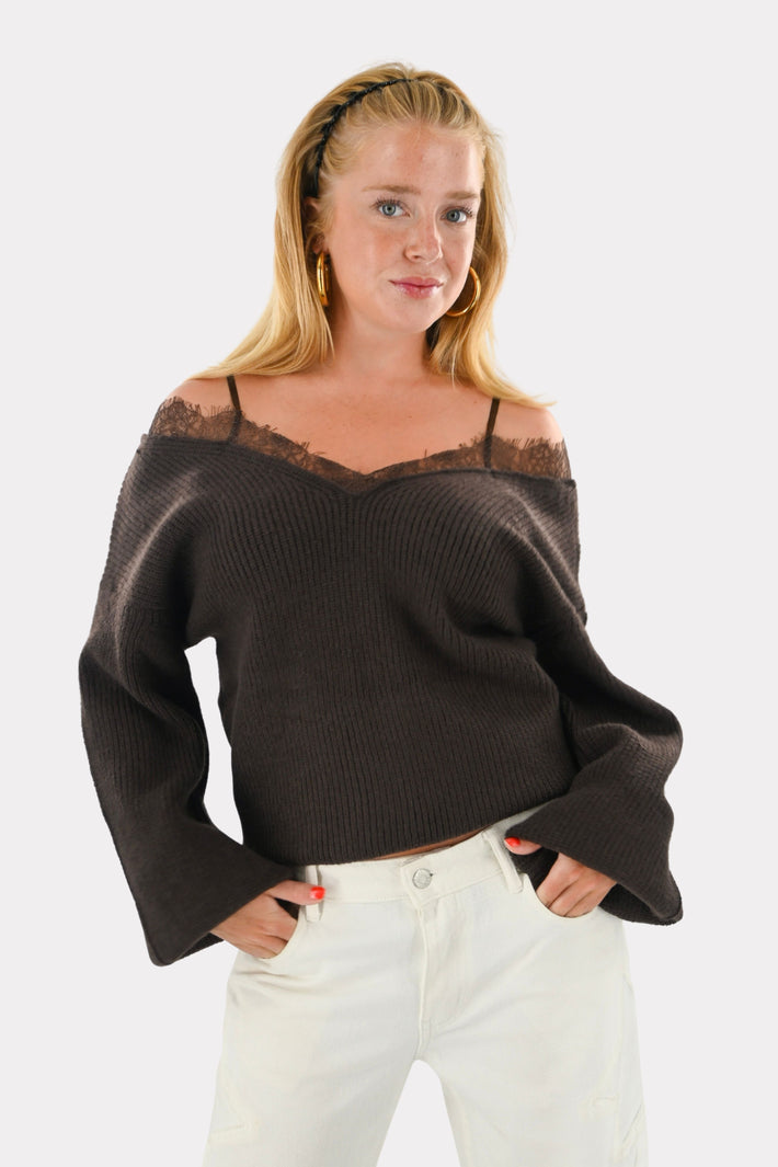 Off-the-Shoulder Lace Knit - Brown
