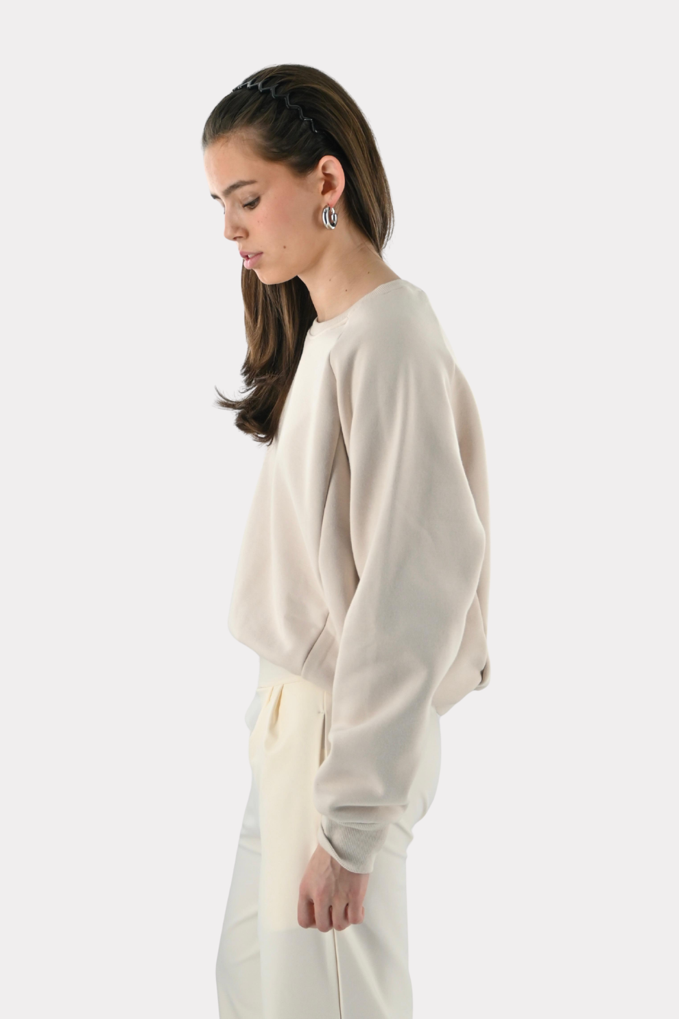 Tiger crewneck - taupe