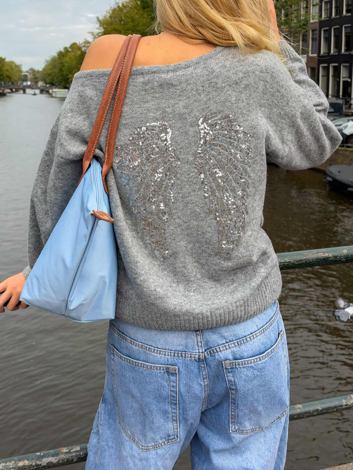 Wings-Strickpullover - Grau