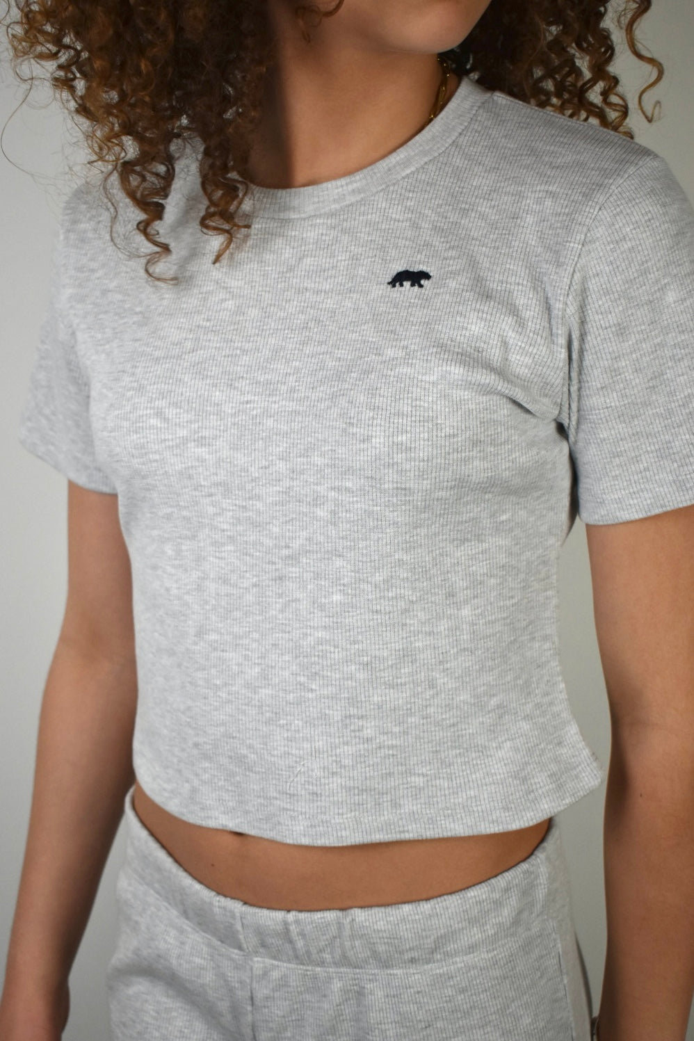 <tc>Sunday top short sleeves - grey</tc>