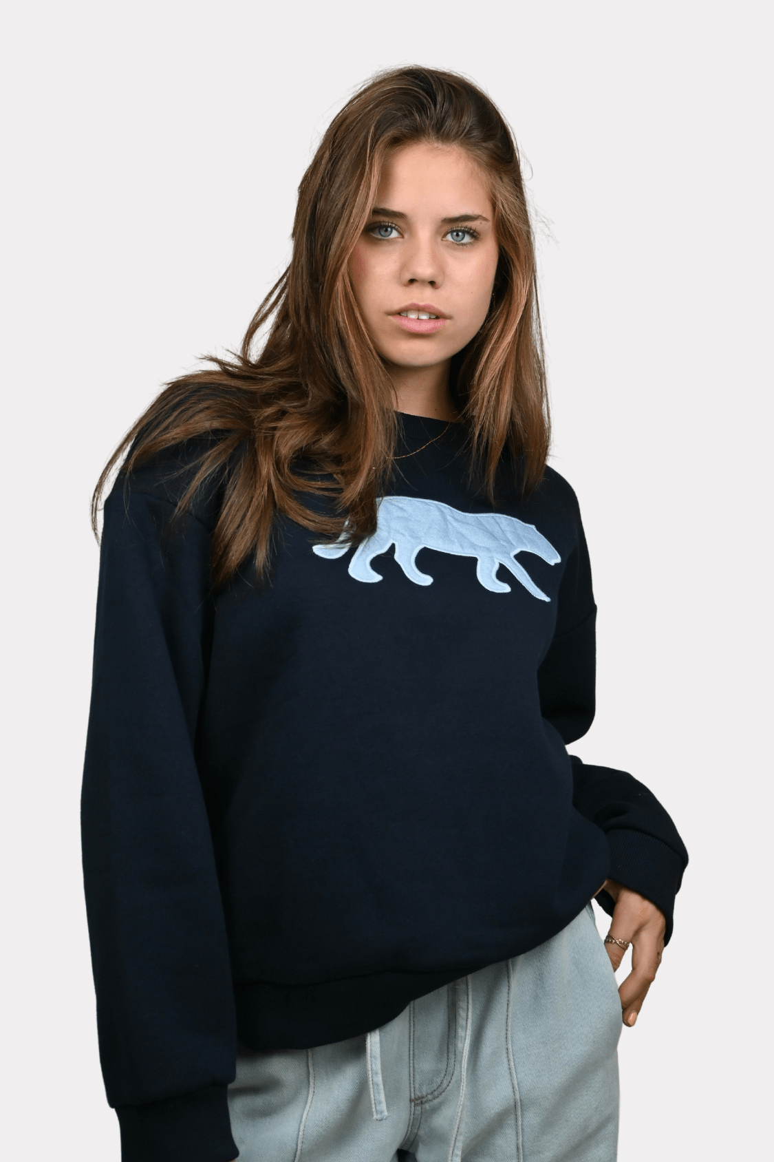 Denim tiger sweater - navy - 1