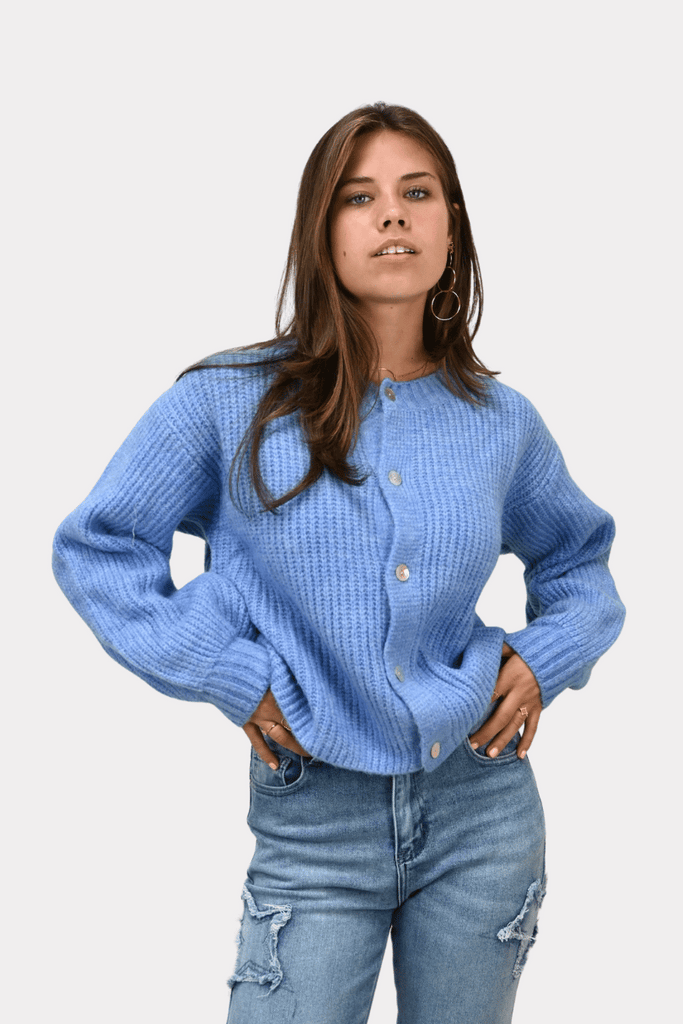 Brooklyn cardigan - blauw