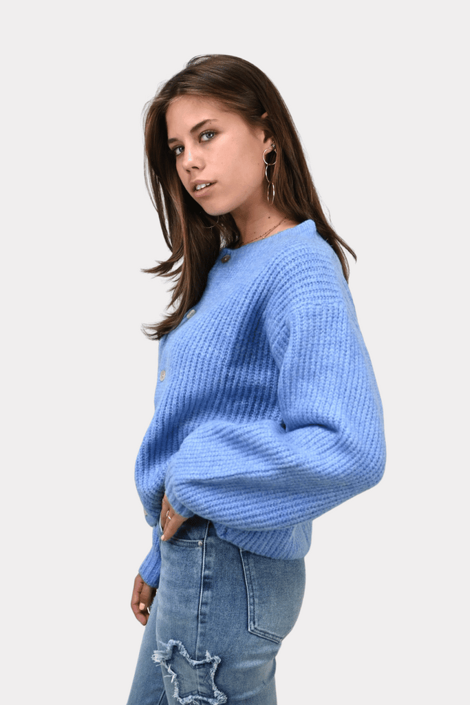 Brooklyn cardigan - blauw