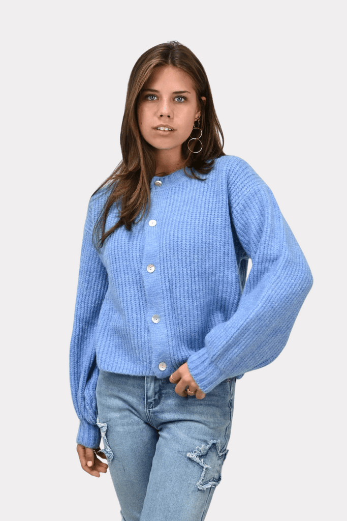 Brooklyn cardigan - blauw