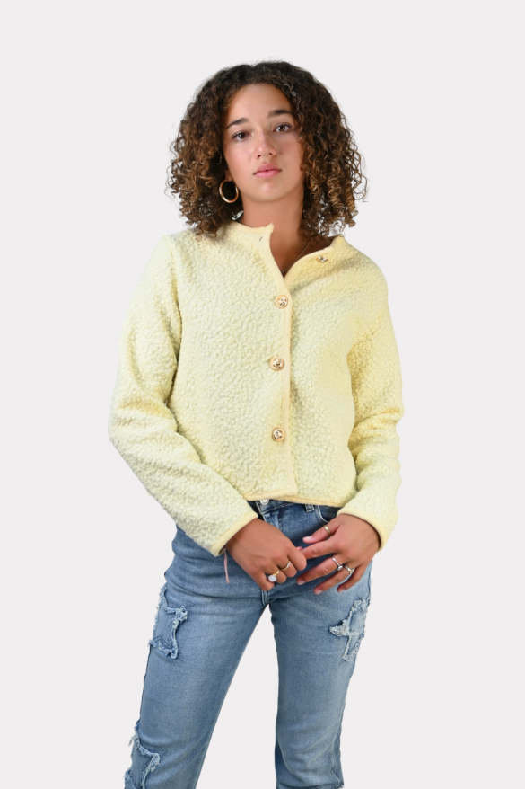 Issy-jacket-paleyellow-fashiontiger-2