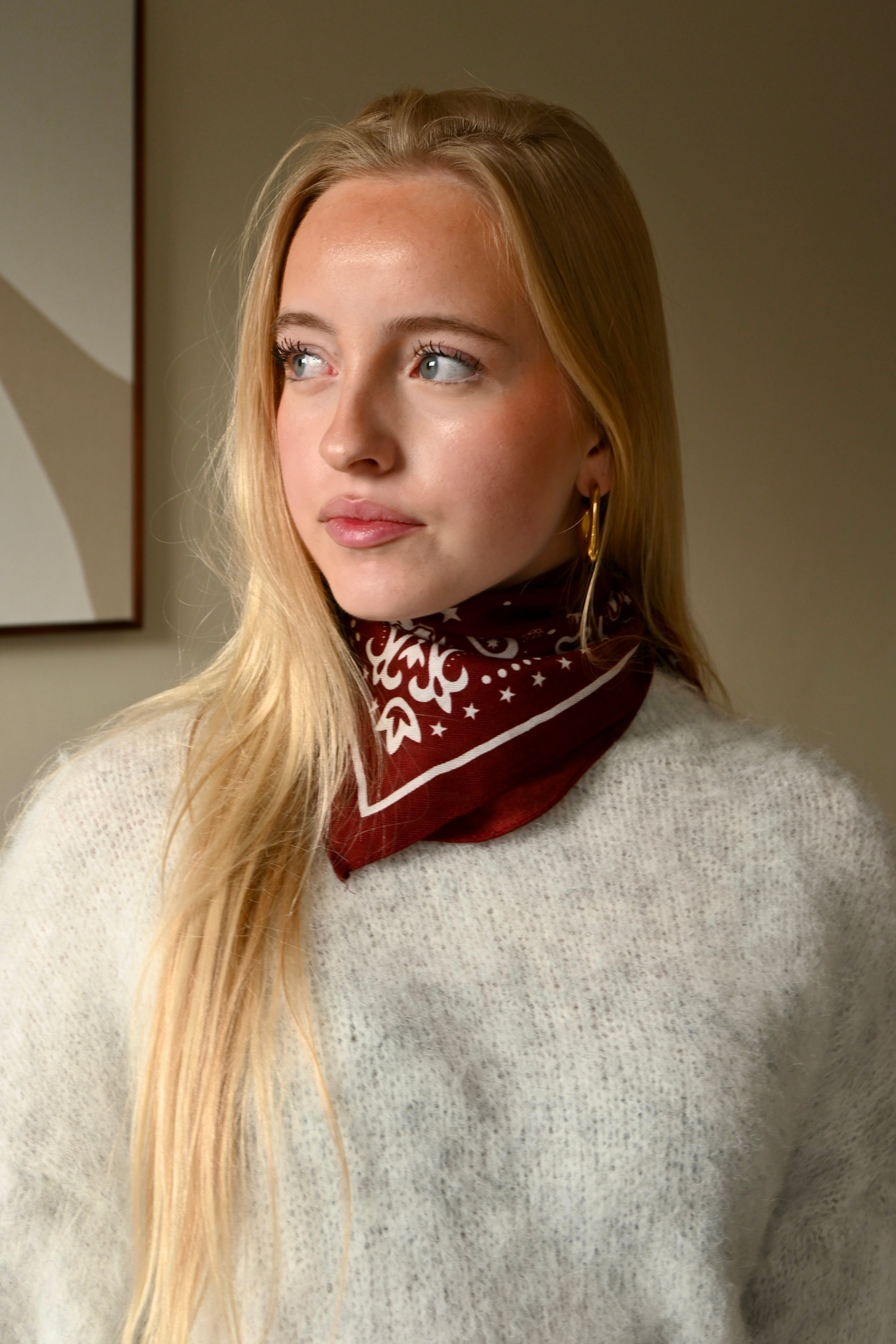 Velvet star scarf - bordeaux - Fashiontiger 1